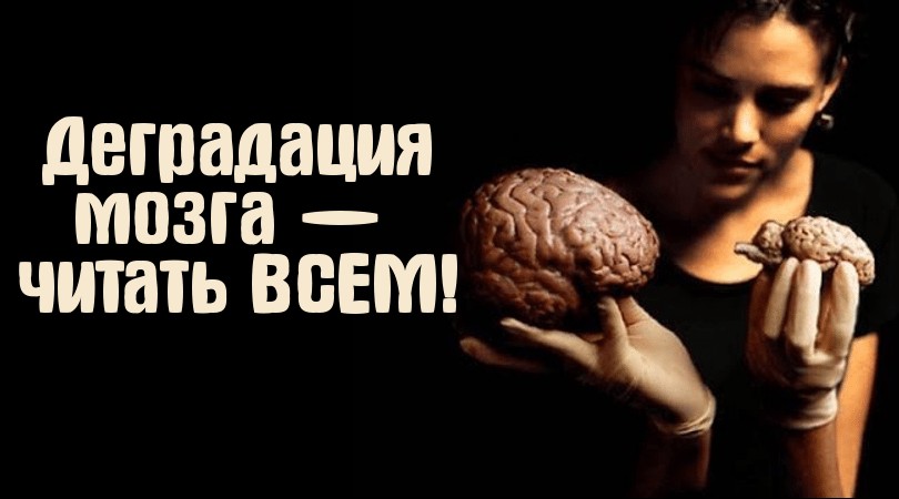 Деградация мозга — читать ВСЕМ!